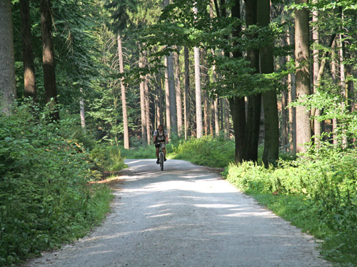 Radfahren