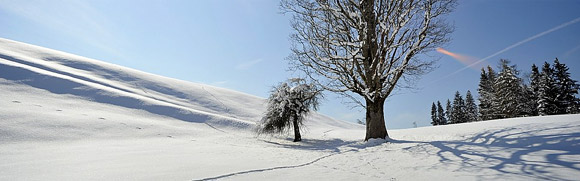 Wandern  in Hohe Salve, Wandertouren, Wanderrouten Winter in Tirol